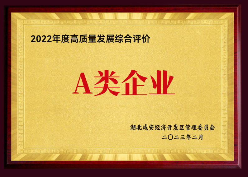 2022年度高質量發展綜合評價 A類企業