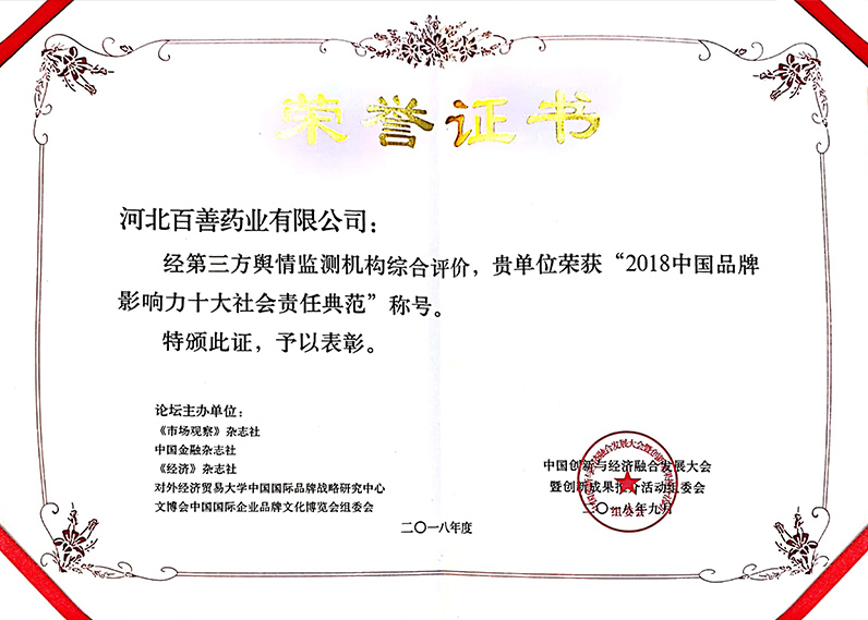 2018中國品牌影響力十大社會責任典范