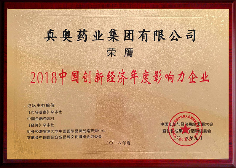 2018中國創新經濟年度影響力企業