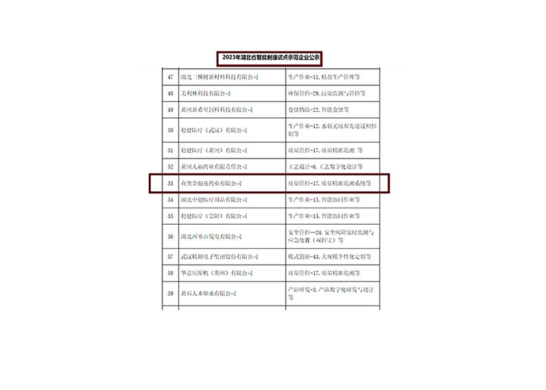 2023年湖北省智能制造試點示范企業公示