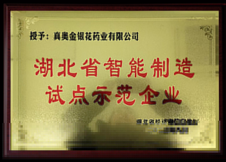 湖北省智能制造 試點示范企業