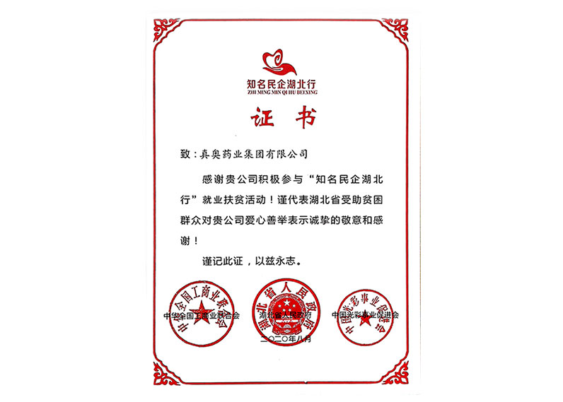 知名民企湖北行