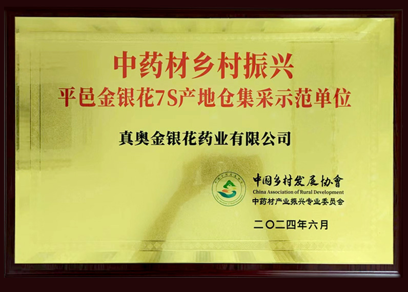 中藥材鄉村振興 平邑金銀花7S產地倉集采示范單位